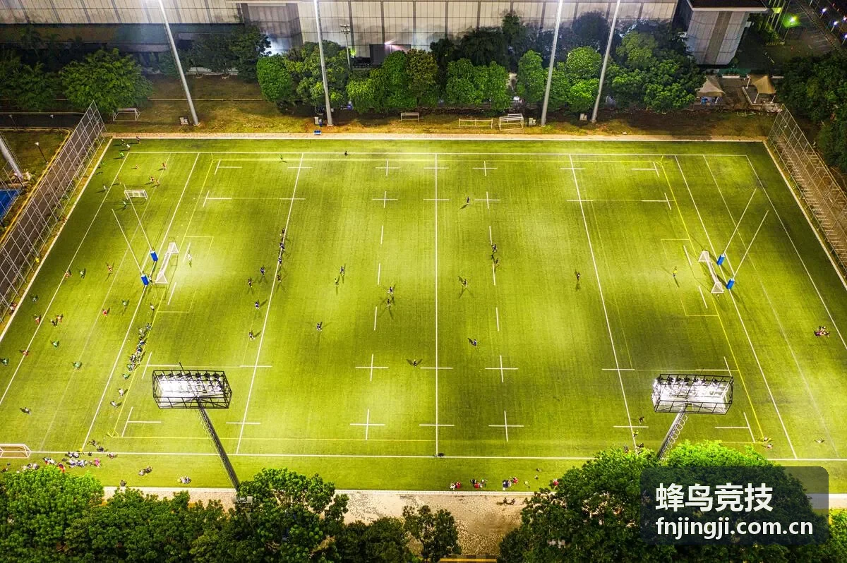 蜂鸟竞技玩家头像