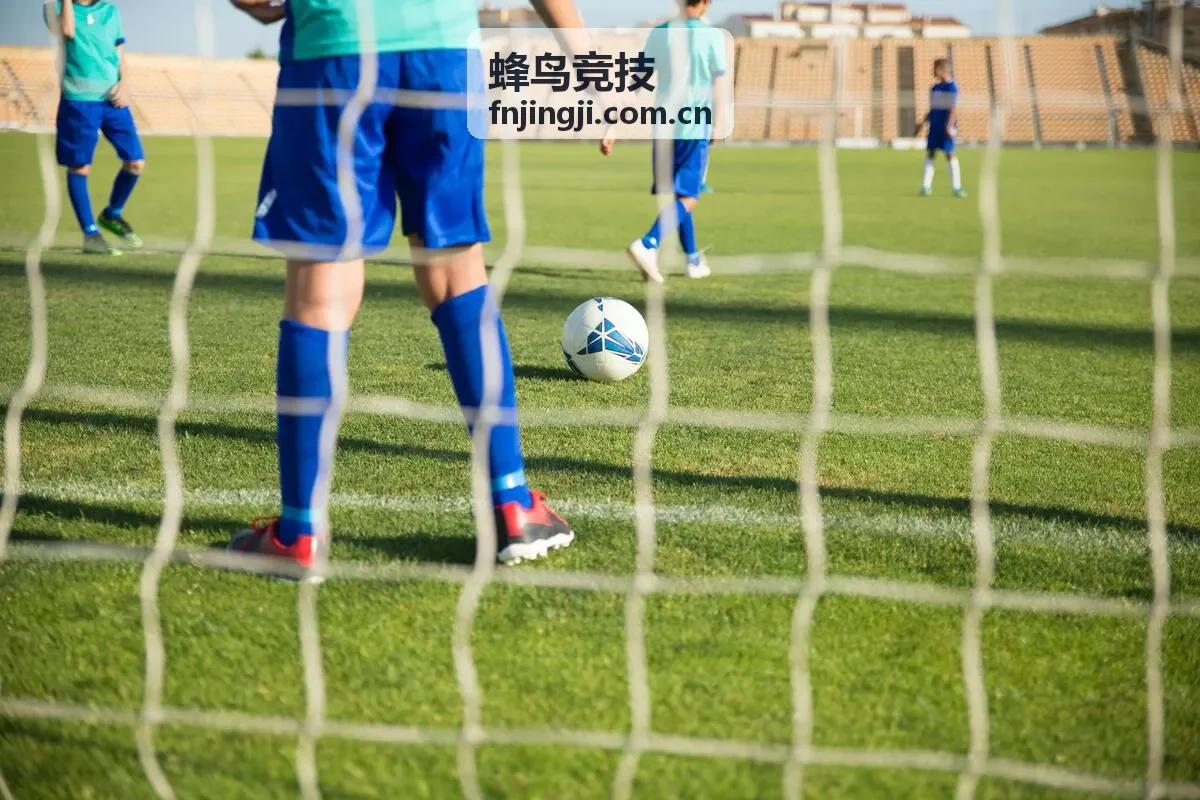 蜂鸟竞技装备道具精选图鉴